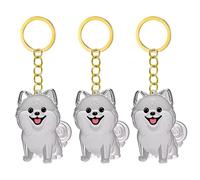 Qsvbeeqj 1. 2/3/4/5/10pcs Klarer Pet Memorial Schlüsselbund Mit Lagerfach Für Katzen Hunde Liebhaber Sympathie Anhänger Süßes Hundehaar Andenken Box