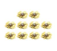 QUARKZMAN 10 Stück Pailletten Perlen Blumen Patches, 30mm Handgemachte Paillette Kristall Applikation Nähen Perlen Blumen Applikation für Kleid Taschen Stirnband Dekor, Aprikose