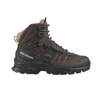 Salomon Quest 4 GTX W L47453300, Women trekking shoes, Brown, 38 EU