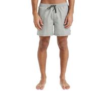 Quiksilver Badeshorts Everyday Deluxe 15" Schwimmshorts Grape Leaf : L