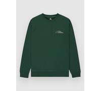 Quiksilver Basic Graphic Crew Sweater trekking green Herren Gr. XS