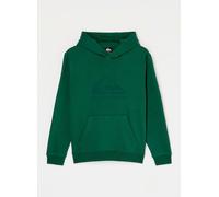 Quiksilver - Bekleidung Comp Logo Hoodie Youth - Grün - Größe 16A