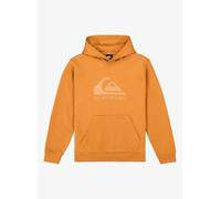 Quiksilver Comp Logo Kinder Hoodie orange - 10