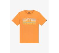 Quiksilver T-Shirt, kurzärmlig, EV Light Waves SS, Braun, 16