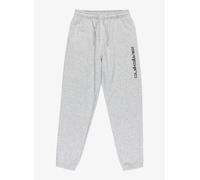 Jogger Pants QUIKSILVER "Graphic", Kinder, Gr. 10, grau (light grau heather), 55% Baumwolle, 45% Polyester, Hosen (78513204-10) light grau heather