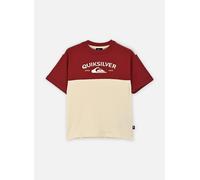 Quiksilver - Bekleidung Knowledge Aera Ss Tee Youth - Beige - Größe 8A
