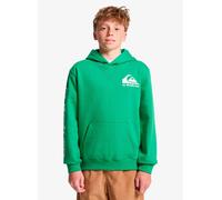 Quiksilver - Kid's Omni Logo Hoodie - Hoodie, Gr. 128 8, grün (Leprechaun)