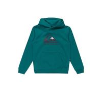 Quiksilver - Big Logo Hoodie Pullover aus Fleece - Kind