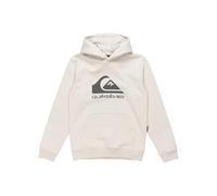 Quiksilver - Big Logo Hoodie Pullover aus Fleece - Kind