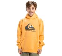 Quiksilver - Big Logo Hoodie Pullover aus Fleece - Kind