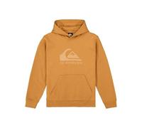 Quiksilver COMP Logo Hoodie Kids Fleece Pullover Braun 16