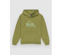 Quiksilver Comp Logo Kids Hoodie loden green Jungen Gr. T16