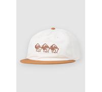 Quiksilver Drifter Canvas Cap bran Gr. Uni
