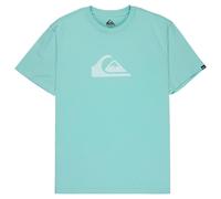 T-Shirt QUIKSILVER "Ev Comp Logo", Herren, Gr. XXL, blau haze, Obermaterial: 70% Walkfrottier, 30% Walkfrottier;, Shirts T-Shirt (50967324-XXL) blau haze