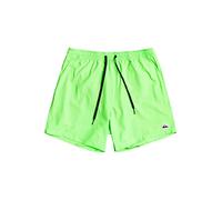 Quiksilver Everyday Volley Youth 13´´ Swimming Shorts Grün 14 Years Junge (Herstellerartikelnummer: EQBJV03331-GGY0-14)