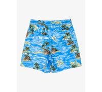 Quiksilver Everyday 15" - Volley Shorts für Jungen GR. XS