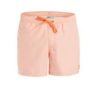 Quiksilver - Everyday Deluxe Volley 15" Boardshorts - Mann