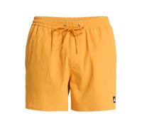 Quiksilver Everyday Flex Volley 15´´ Badeshorts