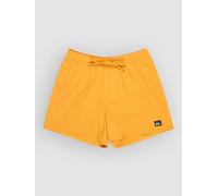 Quiksilver Everyday Flex Volley 15´´ Badeshorts