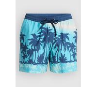Quiksilver Everyday Printed Volley 15 Boardshorts aqua thermotropics Herren Gr. M
