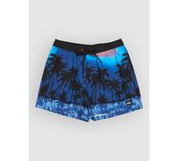 Quiksilver Everyday Printed Volley 15 Boardshorts monaco blue thermotropics Herren Gr. M