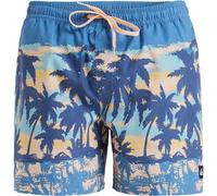 Quiksilver - Everyday Straight Volley 15 - Boardshorts, Gr. M, blau (CoronetBlueTropicamo)