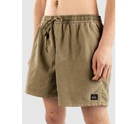 Quiksilver Herren Everyday Surfwash 15 Inch Badeshorts grün M