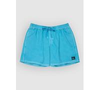 Quiksilver Everyday Surfwash Volley 15´´ Badeshorts