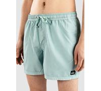 Quiksilver Everyday Surfwash Volley 15 Boardshorts aquifer Herren Gr. XL