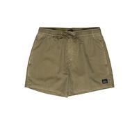 Quiksilver Herren Everyday Surfwash 15 Inch Badeshorts grün M