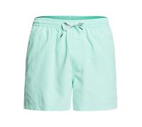 Quiksilver Everyday Volley 15´´ Swimming Shorts Grün 2XL Mann