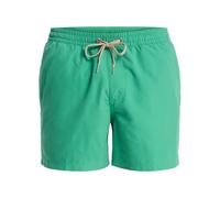 Quiksilver Herren Badeshorts Everyday Volley 15 Polyester sportlicher Schnitt grün (leprechaun) XL (54)