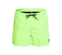 Green Gecko Quiksilver Everyday Volley 15´´ Swimming Shorts Grün M Herren