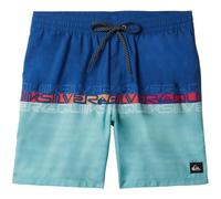 Quiksilver EVERYDAY WORDBLOCK VOLLEY 17 Herren Badehose, blau, größe S