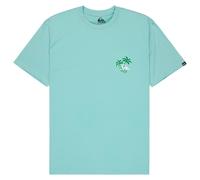 Quiksilver - EVO Learning From Nature S/S - T-Shirt, Gr. L, türkis (BlueHaze)