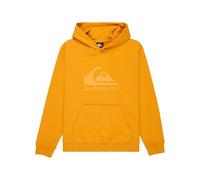 Quiksilver Fleecepullover COMP Logo Hoodie, Jungen, 8-16 Jahre, Gelb