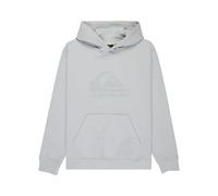 Quiksilver - Kid's Comp Logo Hoodie - Hoodie, Gr. 152 12, grau (MicroChip)
