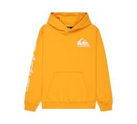 Quiksilver Omni Logo Kapuzenpullover 16 Jahre Mineral Yellow