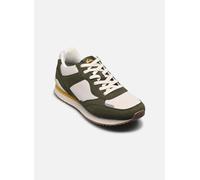 Quiksilver Fontana Sneakers green Herren Gr. 44