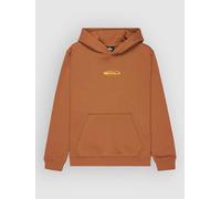 Quiksilver Globe Kids Hoodie tobacco brown Jungen Gr. T12