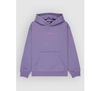 Quiksilver Graphic Hero Kids Hoodie daybreak Jungen Gr. T10