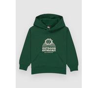Quiksilver Graphic Kids Hoodie trekking green Jungen Gr. T04