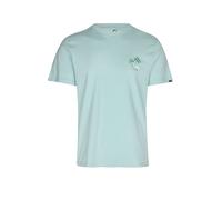 Quiksilver Evo Learning From Nature Kurzarm-t-shirt M Blue Haze