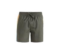 QUIKSILVER Herren Beachshort Everyday Holmes 16 grau | S