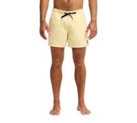 Boardshorts QUIKSILVER "Everyday Solid Volley 15", Herren, Gr. XS, beige (straw), Obermaterial: 100% Polyester., Hosen (98549458-XS) straw