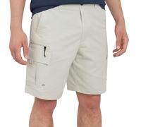 Quiksilver Herren-Cargo-Shorts, normale Passform, feste Taille, wasserfreundlich, Hybrid-Cargo-Shorts (32-42, Silberne Birke, 48