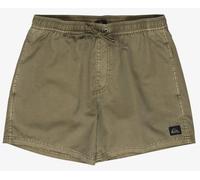 Quiksilver Herren Everyday Surfwash 15 Inch Badeshorts grün L
