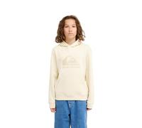 Quiksilver Hoodie COMP Logo Hoodie Youth Jungen Weiß