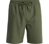 Badeshorts QUIKSILVER "Taxer Amph 18", Herren, Gr. L, US-Größen, braun, Polyester, Badehosen Badeshorts (41294665-L)