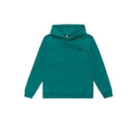 Quiksilver Jungen Basic Hoodie Youth Fleece Top (1er Pack)